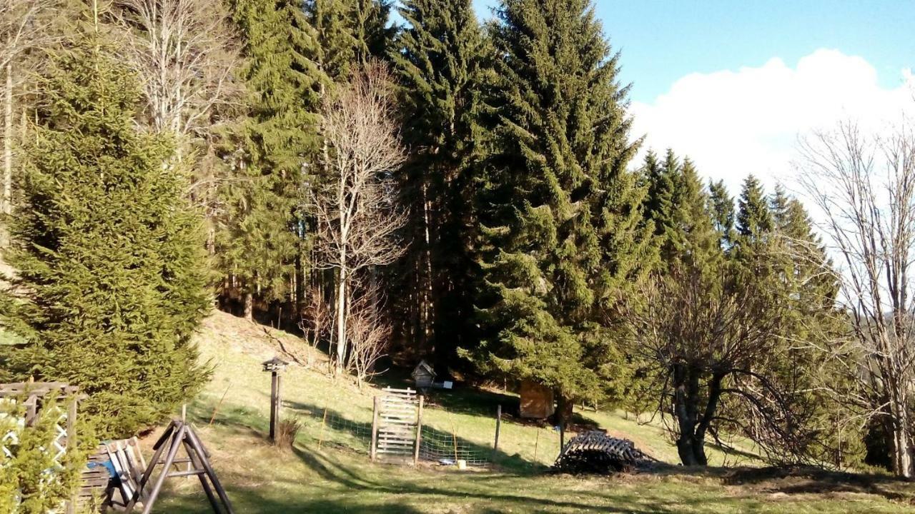 Gaestehaus Fridolin Krieglach Εξωτερικό φωτογραφία